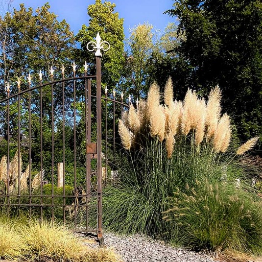 Duisburg Memoriam Garten Waldfriedhof Bestattung stilvoll Park Grab Grab-