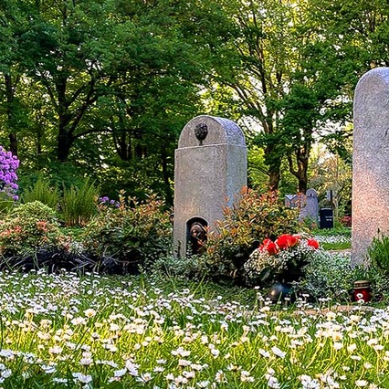 Duisburg Urnengrab Memoriam Garten Waldfriedhof Waldbestattung Bestat-